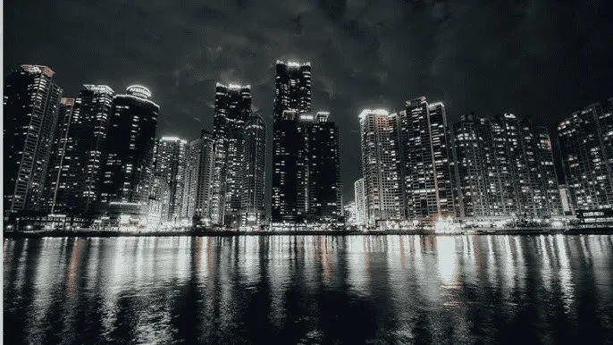 黑椒盖饭 - 城市之光：霓虹背后的人间烟火