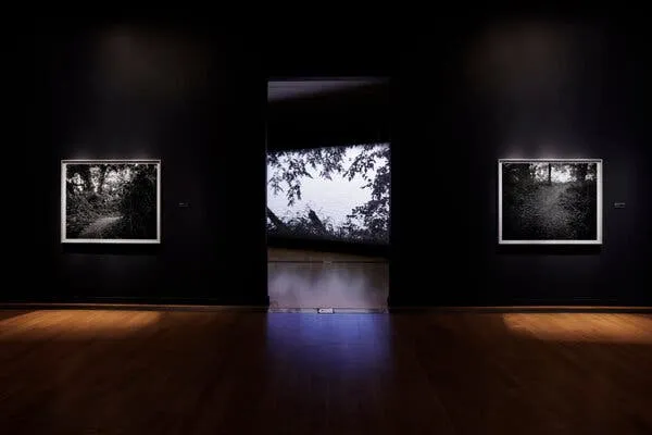 黑椒盖饭 - 记忆守护者纪录片