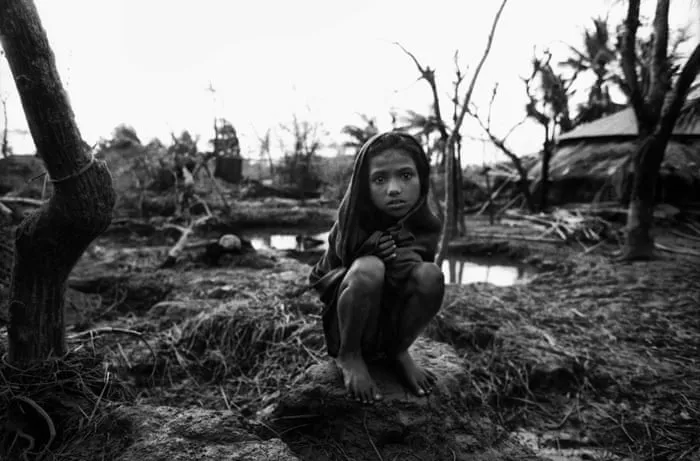 黑椒盖饭 - 消失的部落获奖纪录片海报